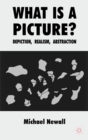 Image for What is a picture?: depiction, realism, abstraction