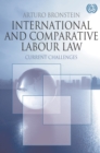 Image for International and comparative labour law: current challenges