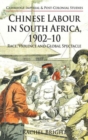 Image for Chinese labour in South Africa, 1902-10  : race, violence, and global spectacle