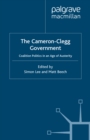 Image for The Cameron-Clegg government: coalition politics in an age of austerity