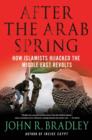 Image for After the Arab spring  : how the Islamists hijacked the Middle East revolts