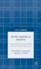 Image for What water is worth  : overlooked non-economic value in water resources