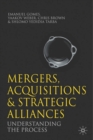 Image for Mergers, acquisitions and strategic alliances: understanding the process