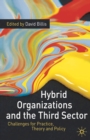 Image for Hybrid Organizations and the Third Sector: Challenges for Practice, Theory and Policy