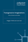 Image for Transgressive imaginations: crime, deviance and culture