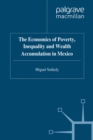 Image for The economics of poverty, inequality and wealth accumulation in Mexico
