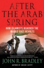 Image for After the Arab spring: how the Islamists hijacked the Middle East revolts
