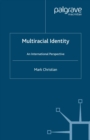 Image for Multiracial identity: an international perspective