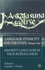 Image for Language, ethnicity and the state.: (Minority languages in the European Union) : Vol. 1,