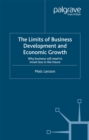 Image for The limits of business development and economic growth: why business will need to invest less in the future