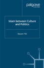 Image for Islam between culture and politics