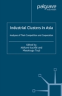 Image for Industrial clusters in Asia: analyses of their competition and cooperation