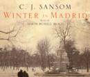 Image for Winter in Madrid