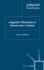 Image for Linguistic minorities in democratic context: the one and the many