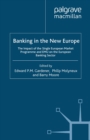 Image for Banking in the new Europe: the impact of the single European market programme and EMU on the European banking sector