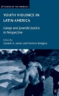 Image for Youth Violence in Latin America