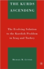 Image for The Kurds ascending  : the evolving solution to the Kurdish problem in Iraq and Turkey