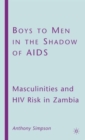 Image for Boys to Men in the Shadow of AIDS