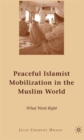 Image for Peaceful Islamist Mobilization in the Muslim World