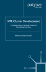 Image for SME cluster development: a dynamic view on survival clusters in developing countries