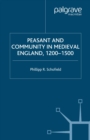 Image for Peasant and community in late medieval England