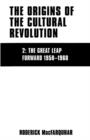 Image for The Origins of the Cultural Revolution : The Great Leap Forward, 1958–1960