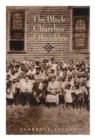 Image for The Black Churches of Brooklyn