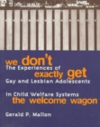 Image for We Don&#39;t Exactly Get the Welcome Wagon : The Experiences of Gay and Lesbian Adolescents in Child Welfare Systems