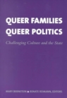 Image for Queer Families, Queer Politics : Challenging Culture and the State