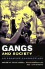 Image for Gangs and Society : Alternative Perspectives
