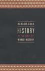 Image for History at the Limit of World-history
