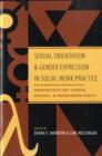 Image for Sexual orientation and gender expression in social work practice  : working with gay, lesbian, bisexual, and transgender people