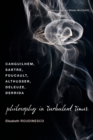 Image for Philosophy in Turbulent Times