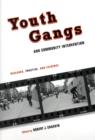 Image for Youth gangs and community intervention  : research, practice, and evidence