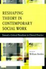 Image for Reshaping the domain in social work  : toward a critical pluralism in contemporary practice