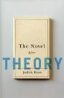Image for The Novel After Theory