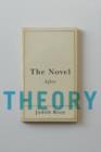 Image for The Novel After Theory