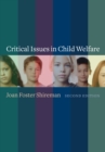 Image for Critical Issues in Child Welfare