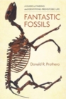 Image for Fantastic fossils  : a guide to finding and identifying prehistoric life