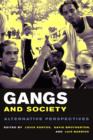 Image for Gangs and society: alternative perspectives