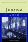 Image for Judaism in America