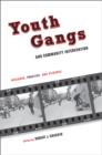 Image for Youth gangs and community intervention: research, practice, and evidence