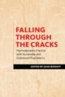 Image for Falling through the cracks: psychodynamic practice with vulnerable and oppressed populations