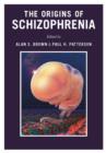 Image for The origins of schizophrenia
