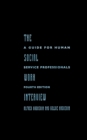 Image for The social work interview: a guide for human service professionals
