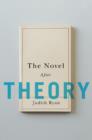 Image for The novel after theory
