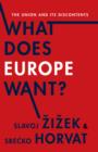 Image for What Does Europe Want?: The Union and Its Discontents