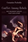 Image for Conflict among rebels: why insurgent groups fight each other
