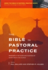 Image for The Bible in pastoral practice  : readings in the place and function of scripture in the church