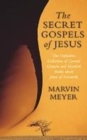 Image for The secret gospels of Jesus  : the definitive collection of gnostic gospels and mystical books about Jesus of Nazareth